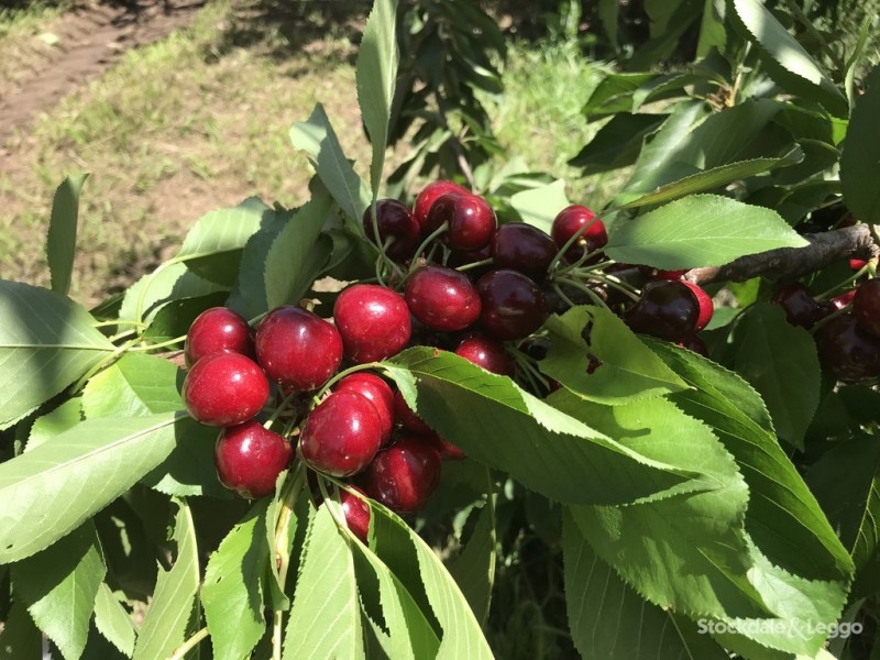 Lot 1 95 School Road, Shepparton East VIC 3631