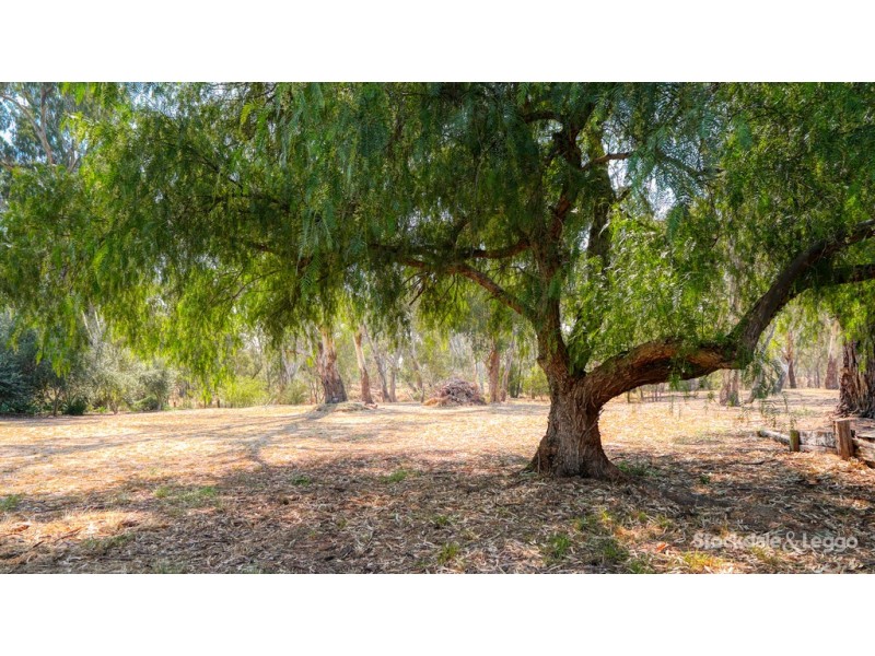 11 Eyre Court, Kialla VIC 3631