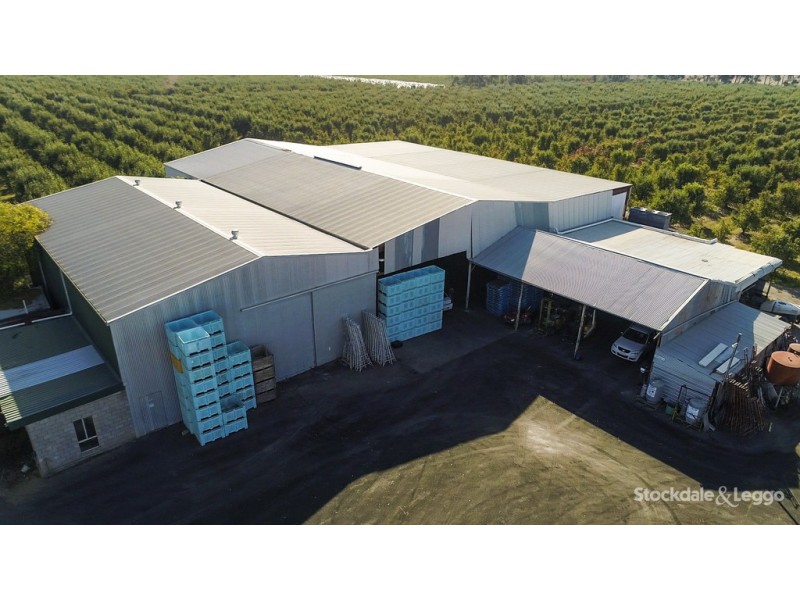 193 Hosie Road, Shepparton East VIC 3631