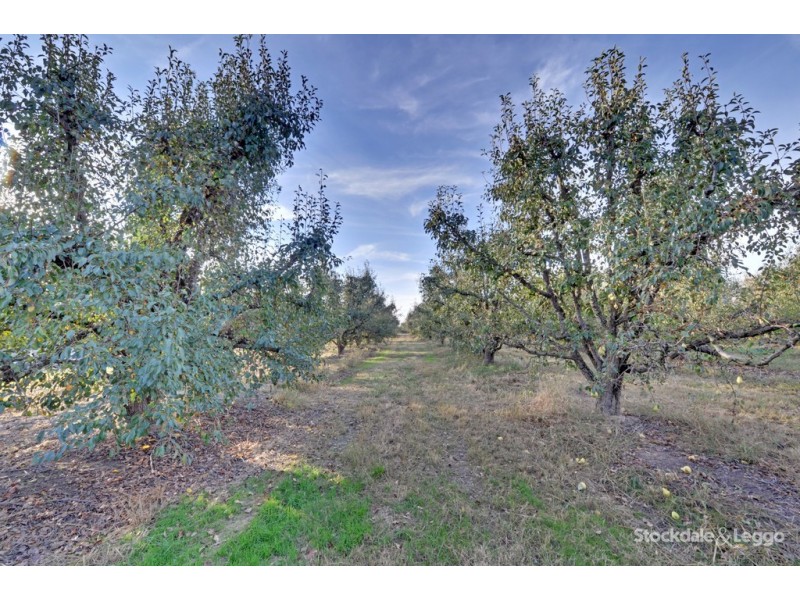 193 Hosie Road, Shepparton East VIC 3631