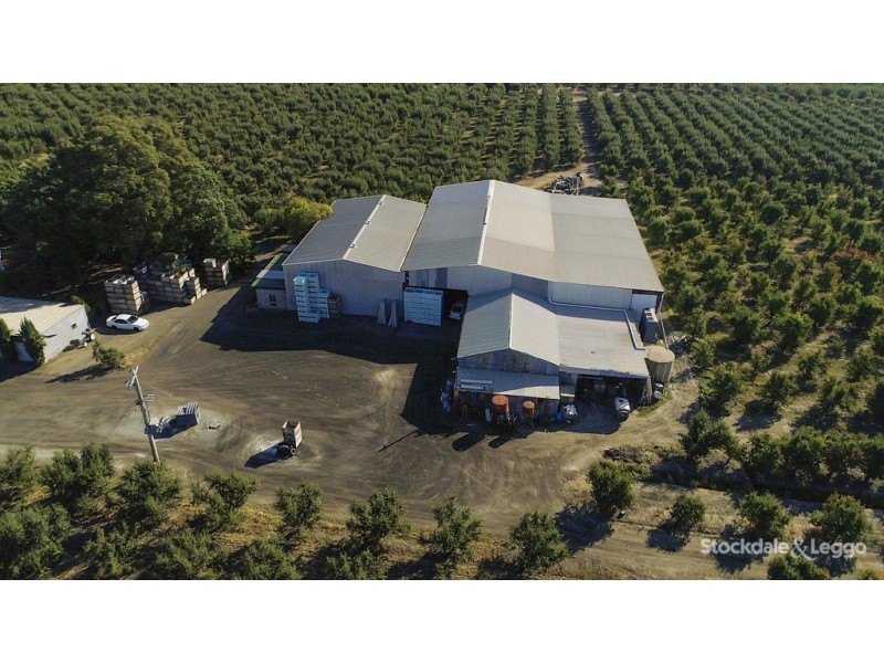 193 Hosie Road, Shepparton East VIC 3631