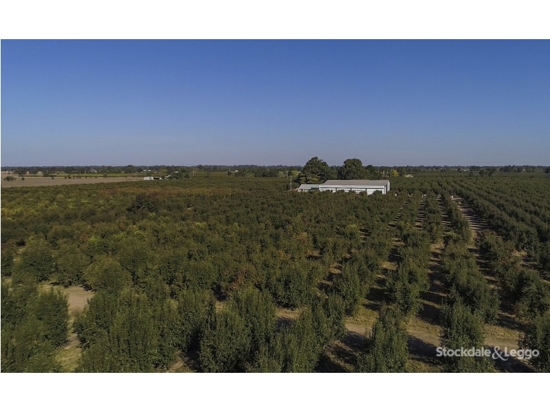 193 Hosie Road, Shepparton East VIC 3631