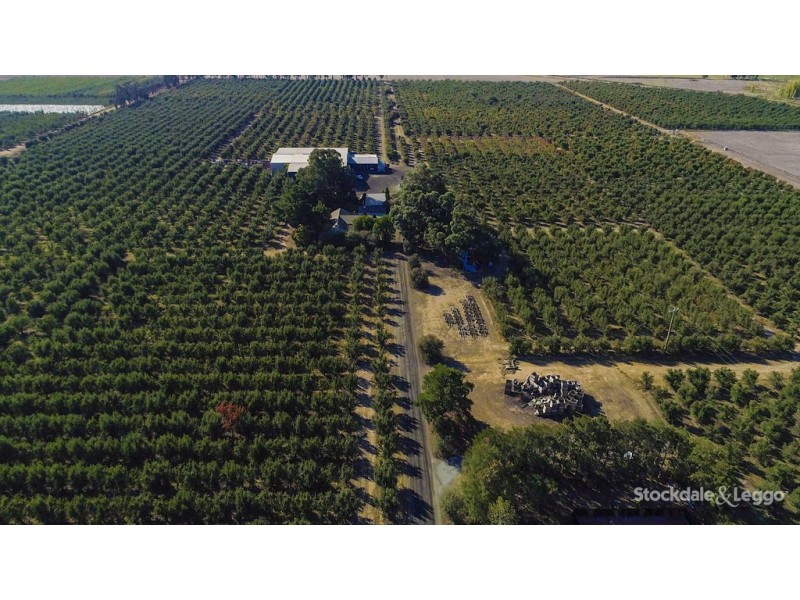 193 Hosie Road, Shepparton East VIC 3631