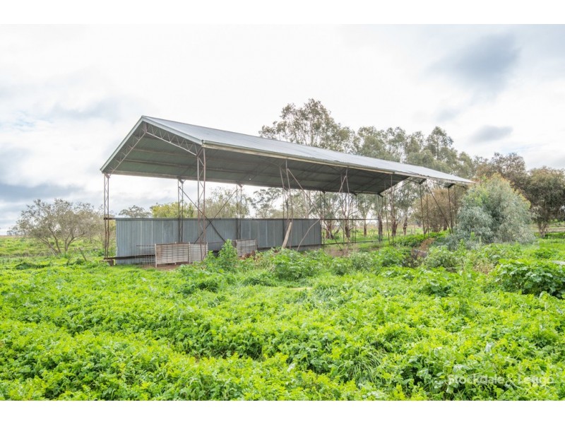 835 New Dookie Road, Pine Lodge VIC 3631