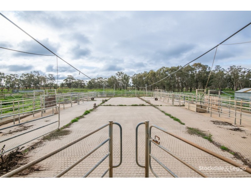835 New Dookie Road, Pine Lodge VIC 3631
