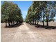 Lot 84 Avonlea Street, Numurkah VIC 3636