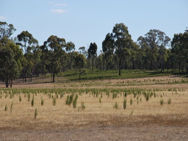 680 Willow Road, Murchison VIC 3610