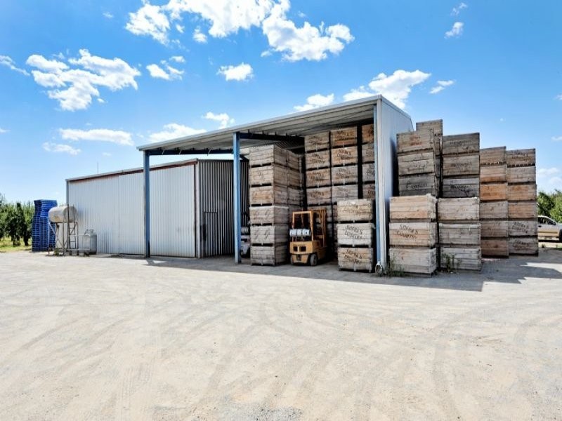 230 Orrvale Road, Shepparton East VIC 3631