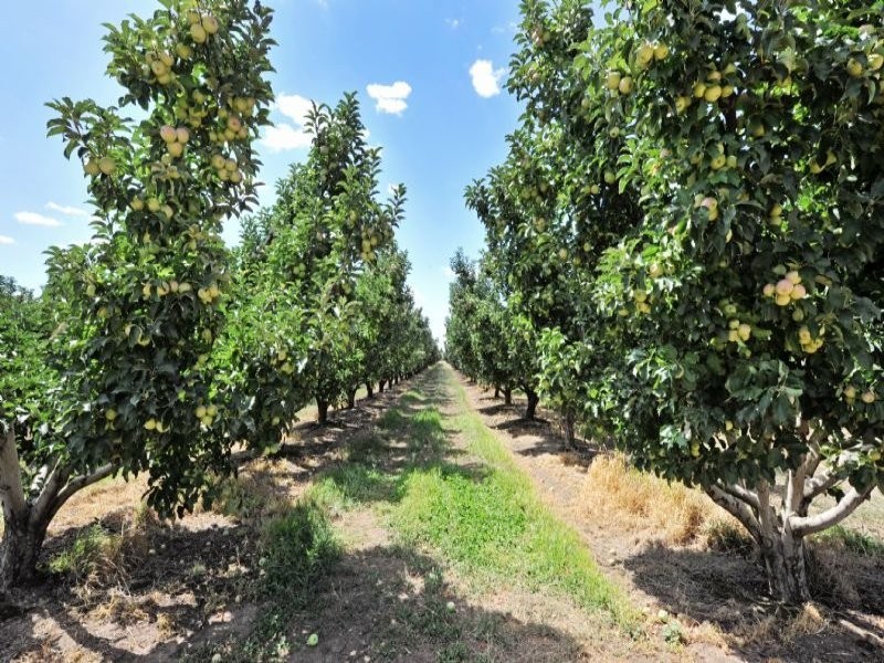 230 Orrvale Road, Shepparton East VIC 3631