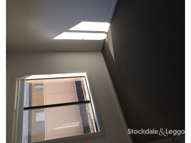 19 Grampians Parade, Shepparton VIC 3630