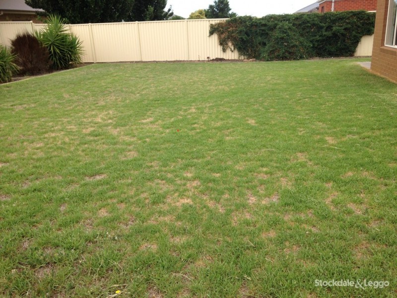 10 Yanchep Street, Shepparton VIC 3630