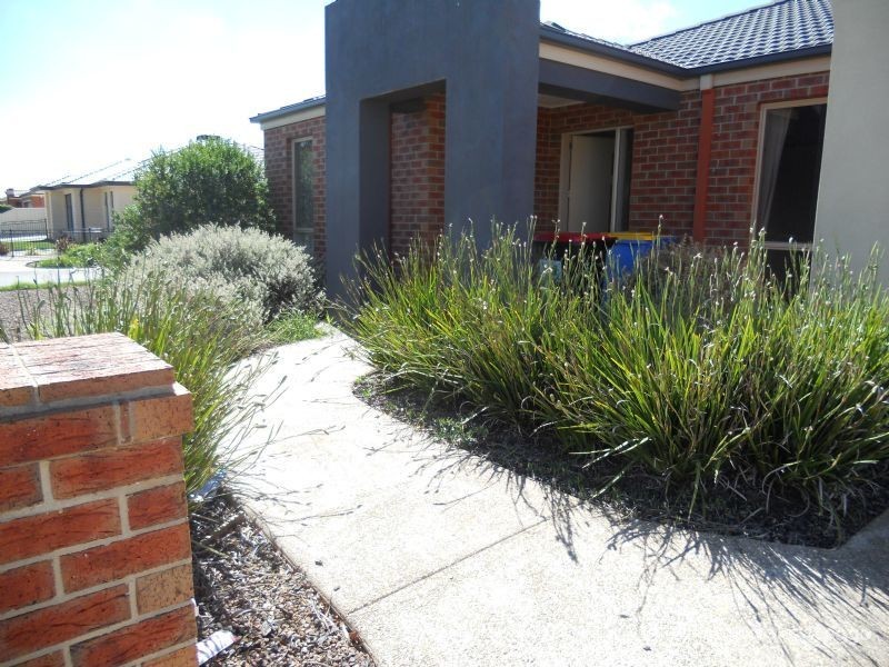 12 BELLEMARA CRESCENT, Mooroopna VIC 3629