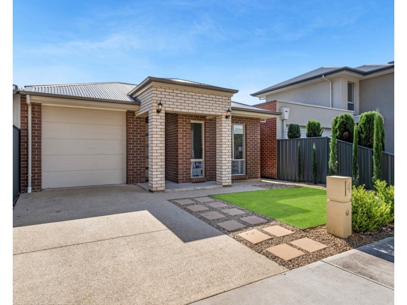 4 Dampier Avenue, Findon SA 5023