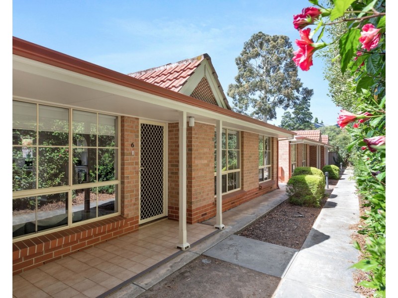 6/22 Mortimer Street, Kurralta Park SA 5037