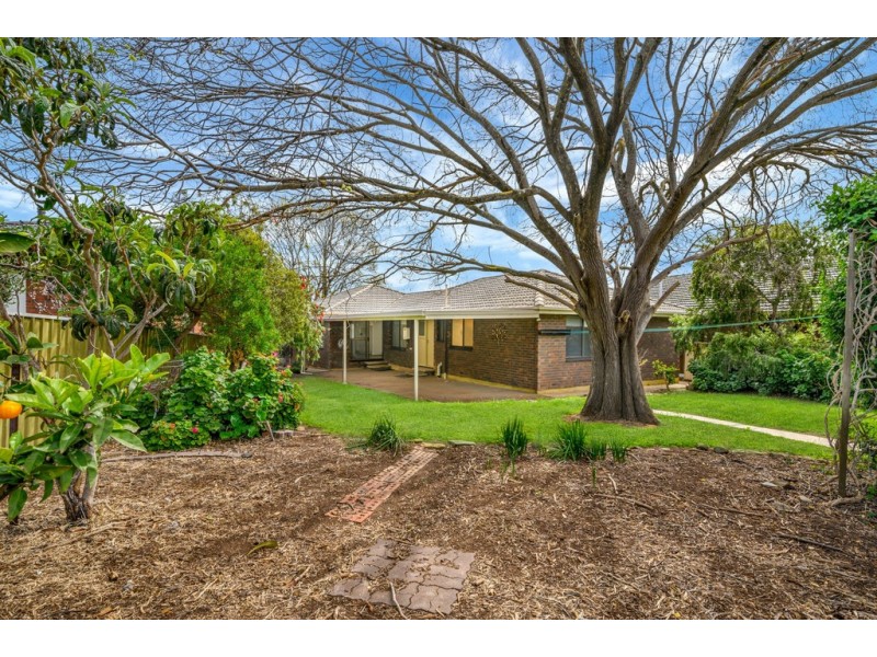 6 Kimba Grove, Pasadena SA 5042