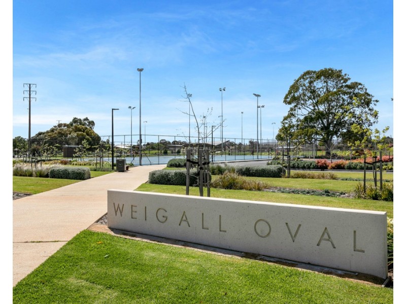 11 Urrbrae Terrace, Plympton SA 5038