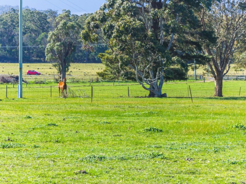 1399 Illawarra Road, Carrick TAS 7291