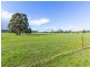 1399 Illawarra Road, Carrick TAS 7291