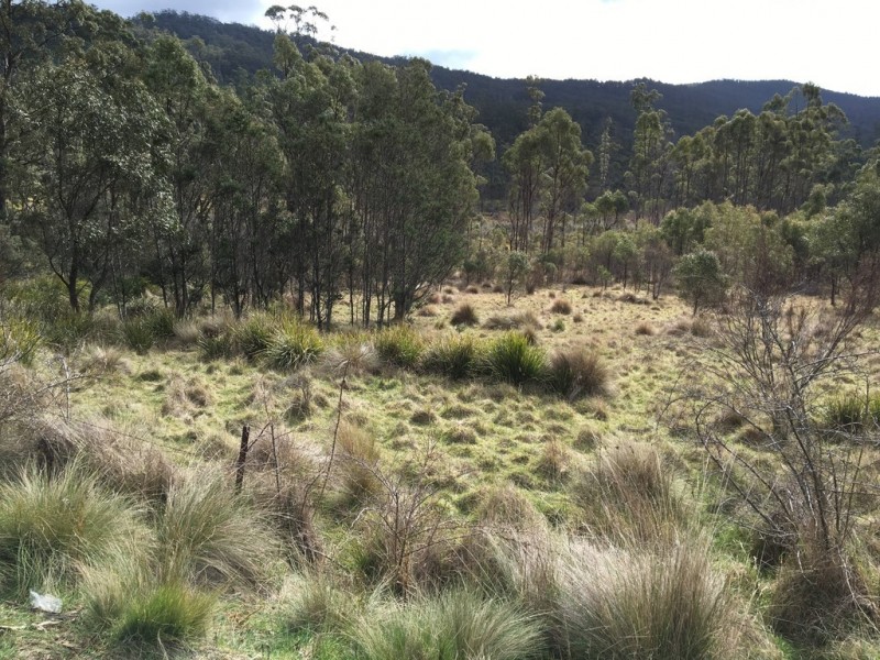 Lot 2/391 Patersonia Road, Nunamara TAS 7259