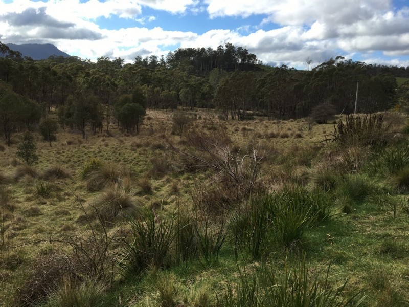 Lot 2/391 Patersonia Road, Nunamara TAS 7259