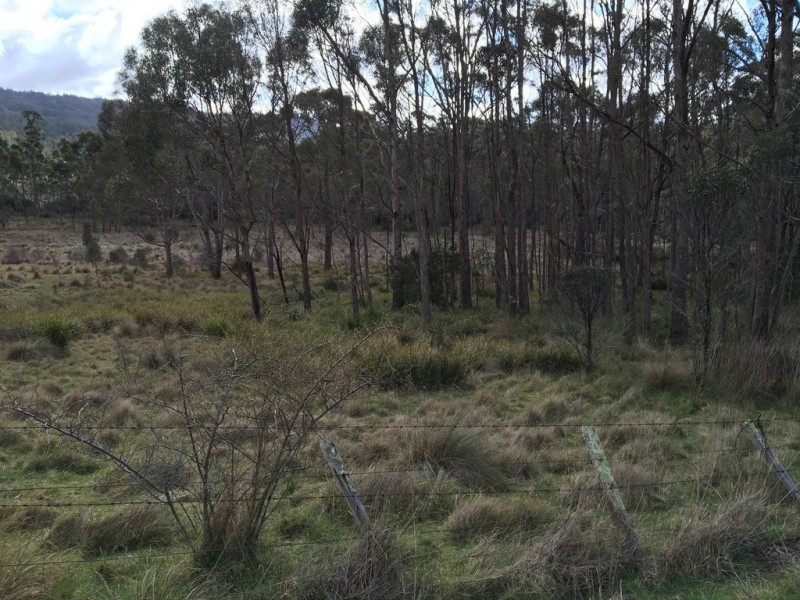 Lot 2/391 Patersonia Road, Nunamara TAS 7259