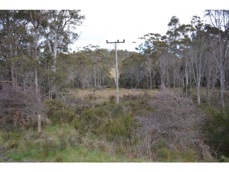Lot 2/391 Patersonia Road, Nunamara TAS 7259