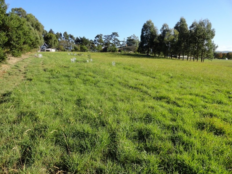 551 Rowella Road, Rowella TAS 7270