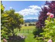551 Rowella Road, Rowella TAS 7270