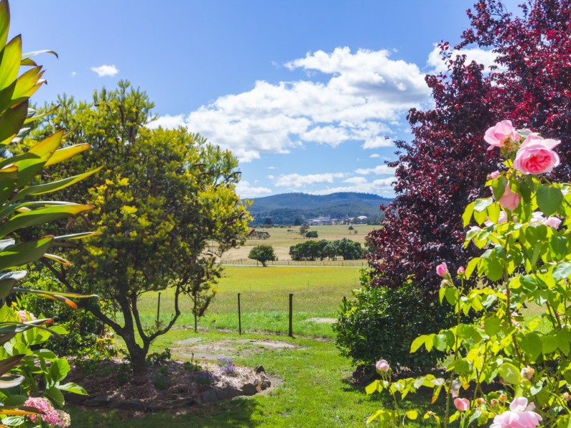 551 Rowella Road, Rowella TAS 7270