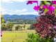 551 Rowella Road, Rowella TAS 7270