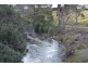 Lot 1, 391 Patersonia Road, Nunamara TAS 7259