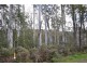 Lot 1, 391 Patersonia Road, Nunamara TAS 7259
