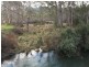 Lot 1, 391 Patersonia Road, Nunamara TAS 7259