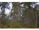 Lot 1, 391 Patersonia Road, Nunamara TAS 7259