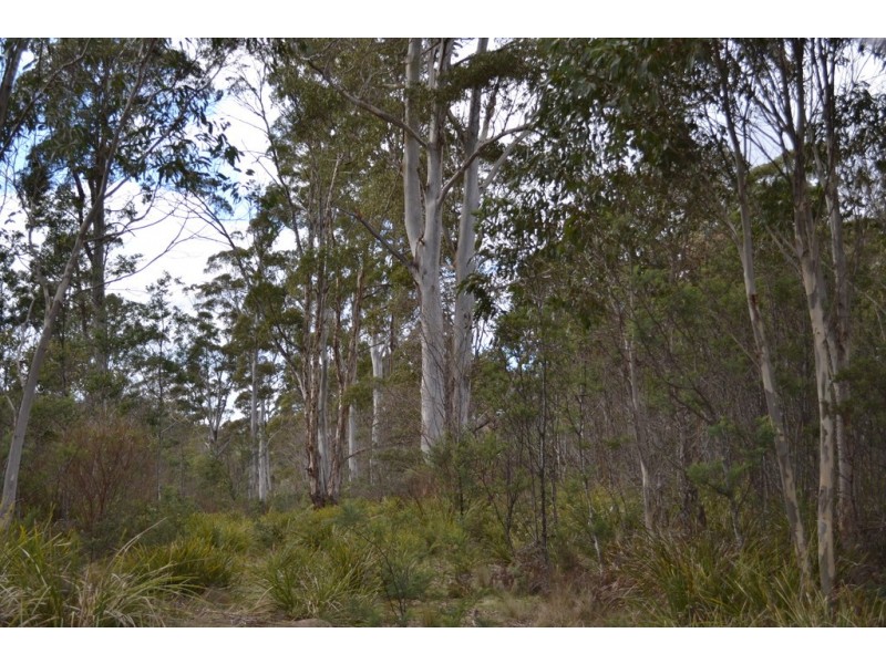 Lot 1, 391 Patersonia Road, Nunamara TAS 7259