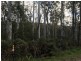 Lot 1, 391 Patersonia Road, Nunamara TAS 7259