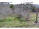 Lot 1, 391 Patersonia Road, Nunamara TAS 7259