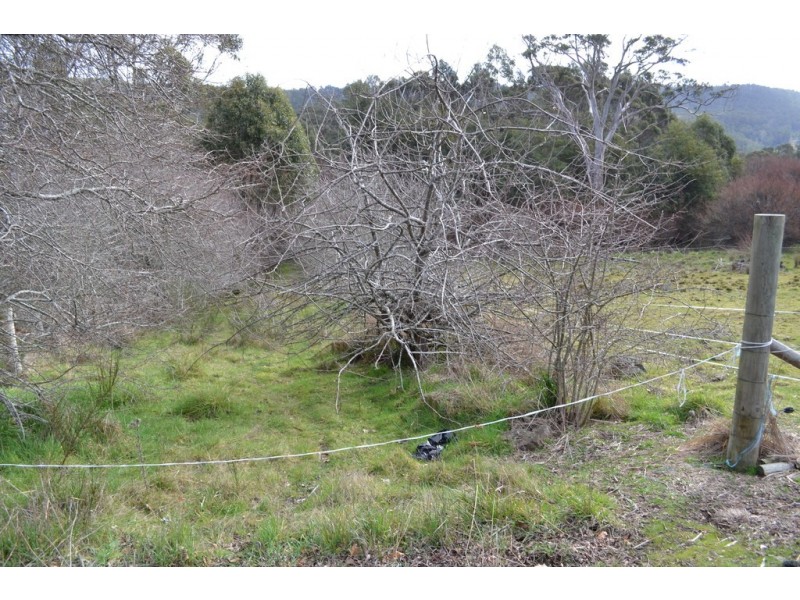 Lot 1, 391 Patersonia Road, Nunamara TAS 7259