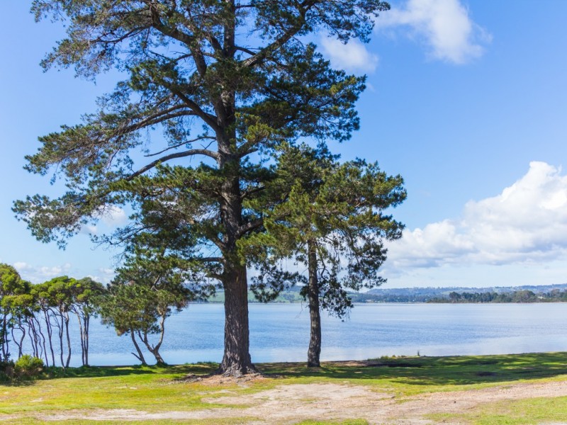 5 Swan Point Esplanade, Swan Point TAS 7275