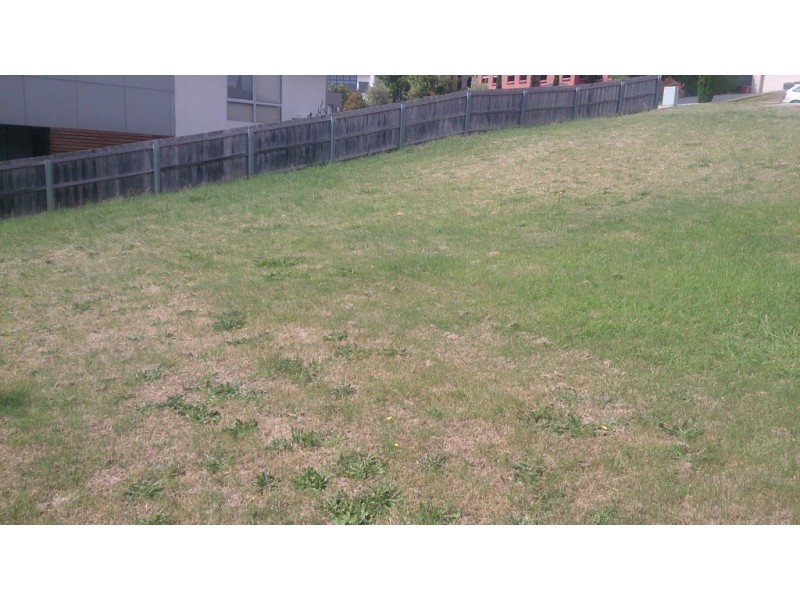 29 Ellison Street, Newstead TAS 7250