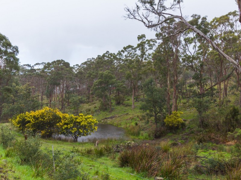 103 Disputed Road, Blessington TAS 7212