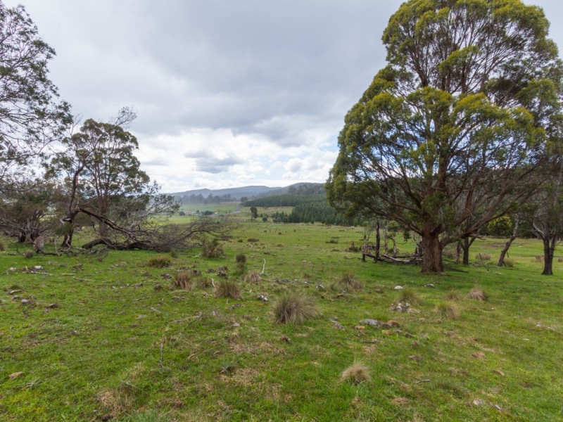 103 Disputed Road, Blessington TAS 7212