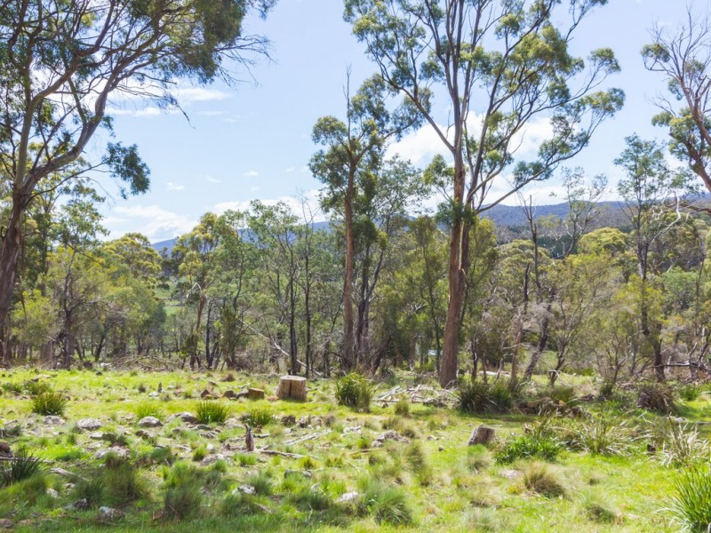 103 Disputed Road, Blessington TAS 7212