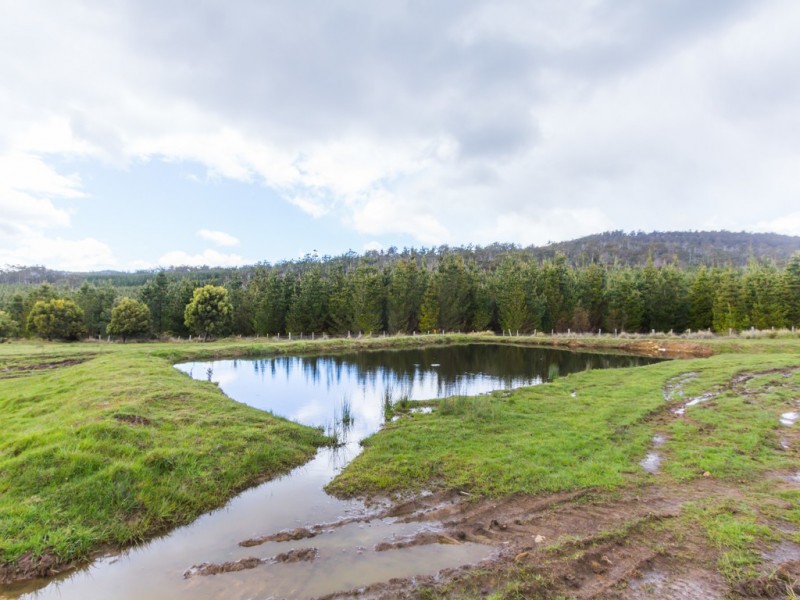 103 Disputed Road, Blessington TAS 7212