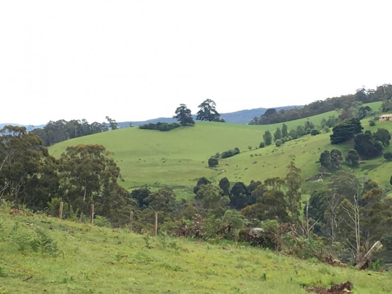 1/234 Cherry Farm Road, Underwood TAS 7268