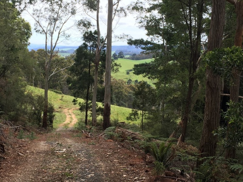 1/234 Cherry Farm Road, Underwood TAS 7268