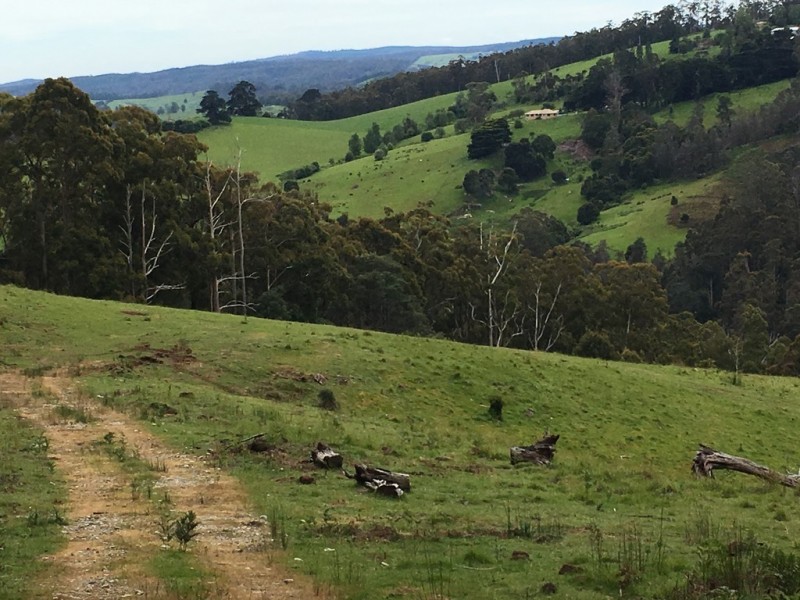 1/234 Cherry Farm Road, Underwood TAS 7268