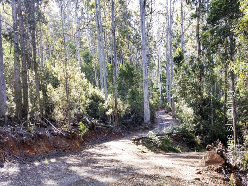 1/234 Cherry Farm Road, Underwood TAS 7268