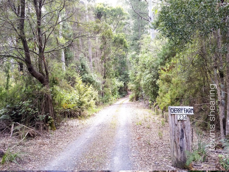1/234 Cherry Farm Road, Underwood TAS 7268