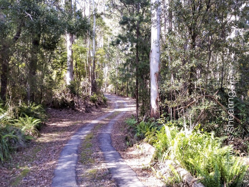 1/234 Cherry Farm Road, Underwood TAS 7268